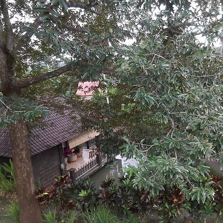 Natural Lodge Selemadeg  Bagian luar foto