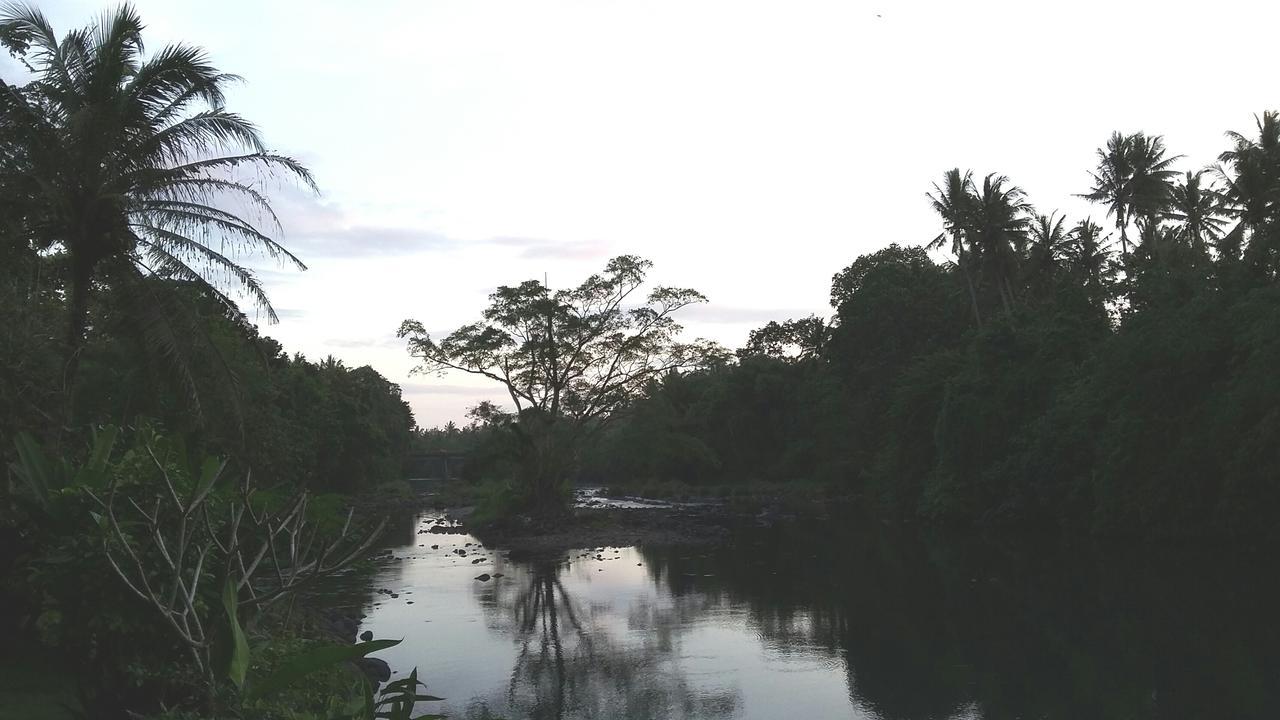 Natural Lodge Selemadeg  Bagian luar foto