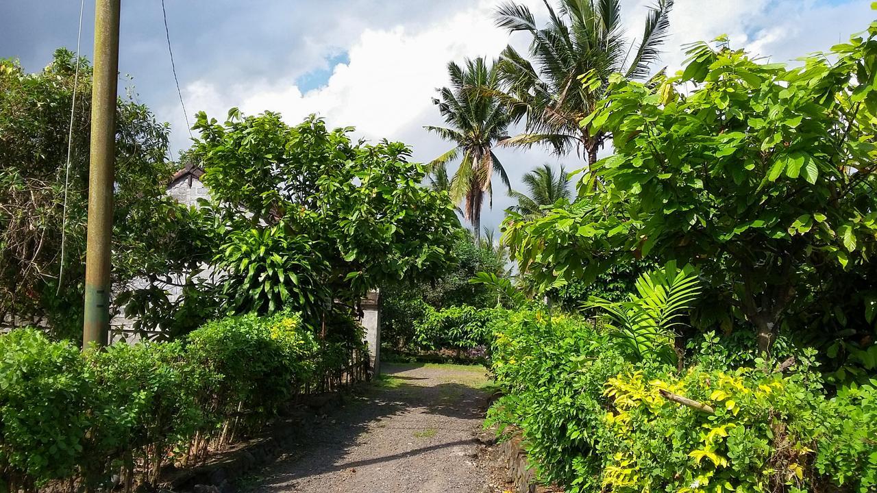 Natural Lodge Selemadeg  Bagian luar foto