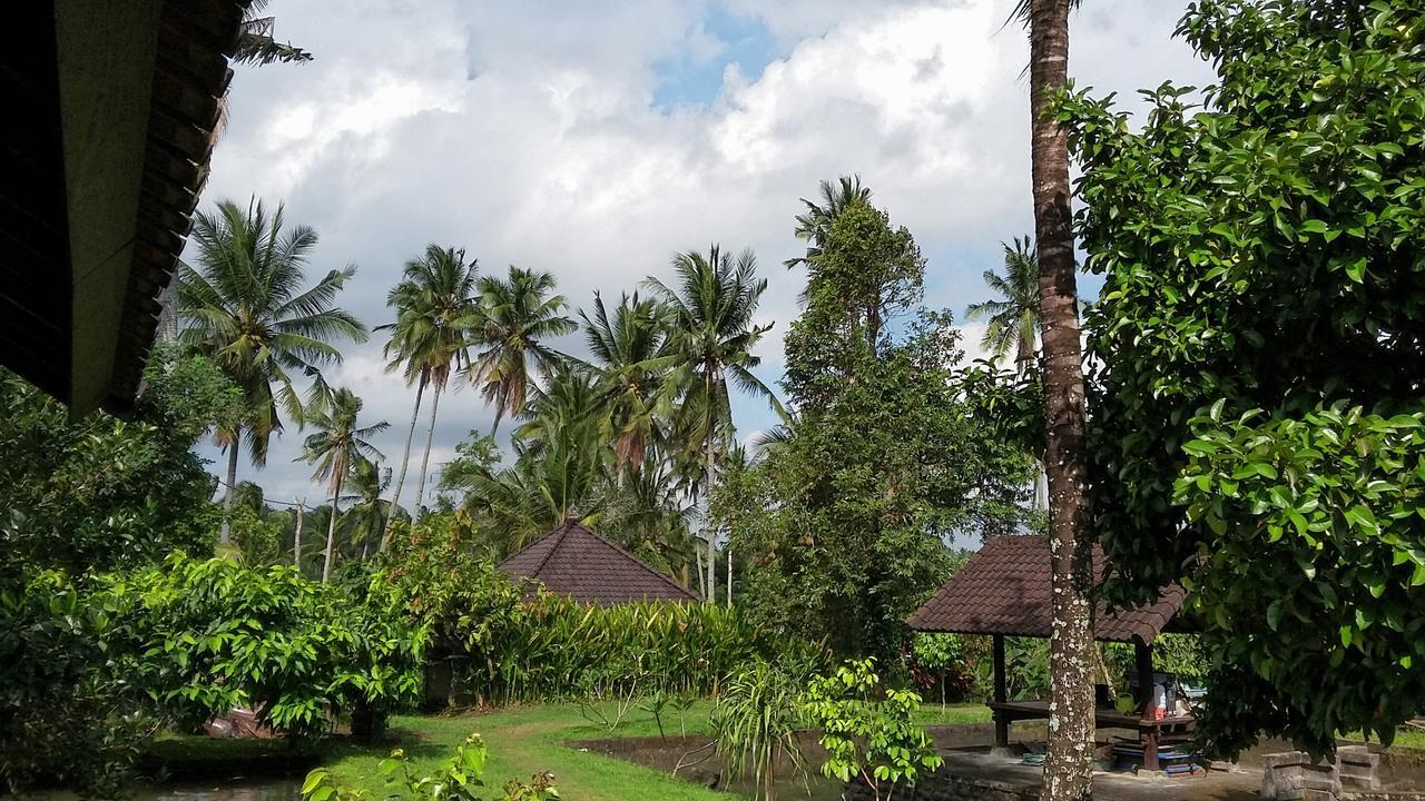 Natural Lodge Selemadeg  Bagian luar foto