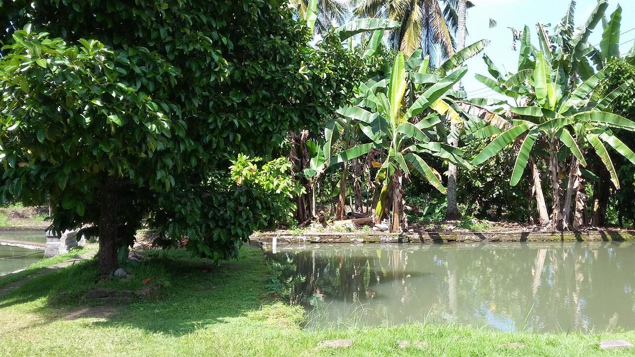 Natural Lodge Selemadeg  Bagian luar foto