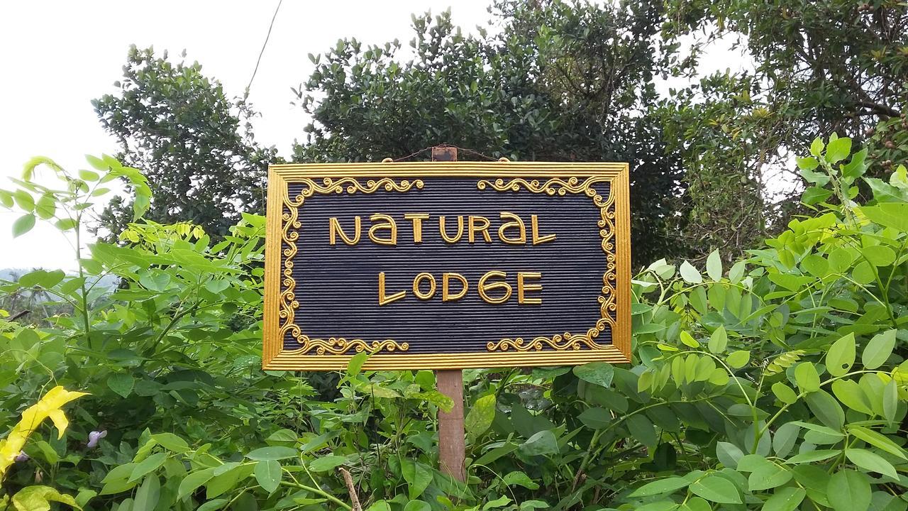 Natural Lodge Selemadeg  Bagian luar foto
